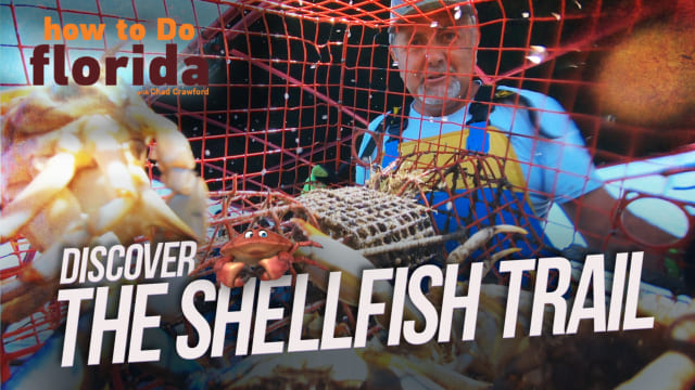 Discover The Shellfish Trail from how to Do Florida on demand for Free on TikiLIVE TV